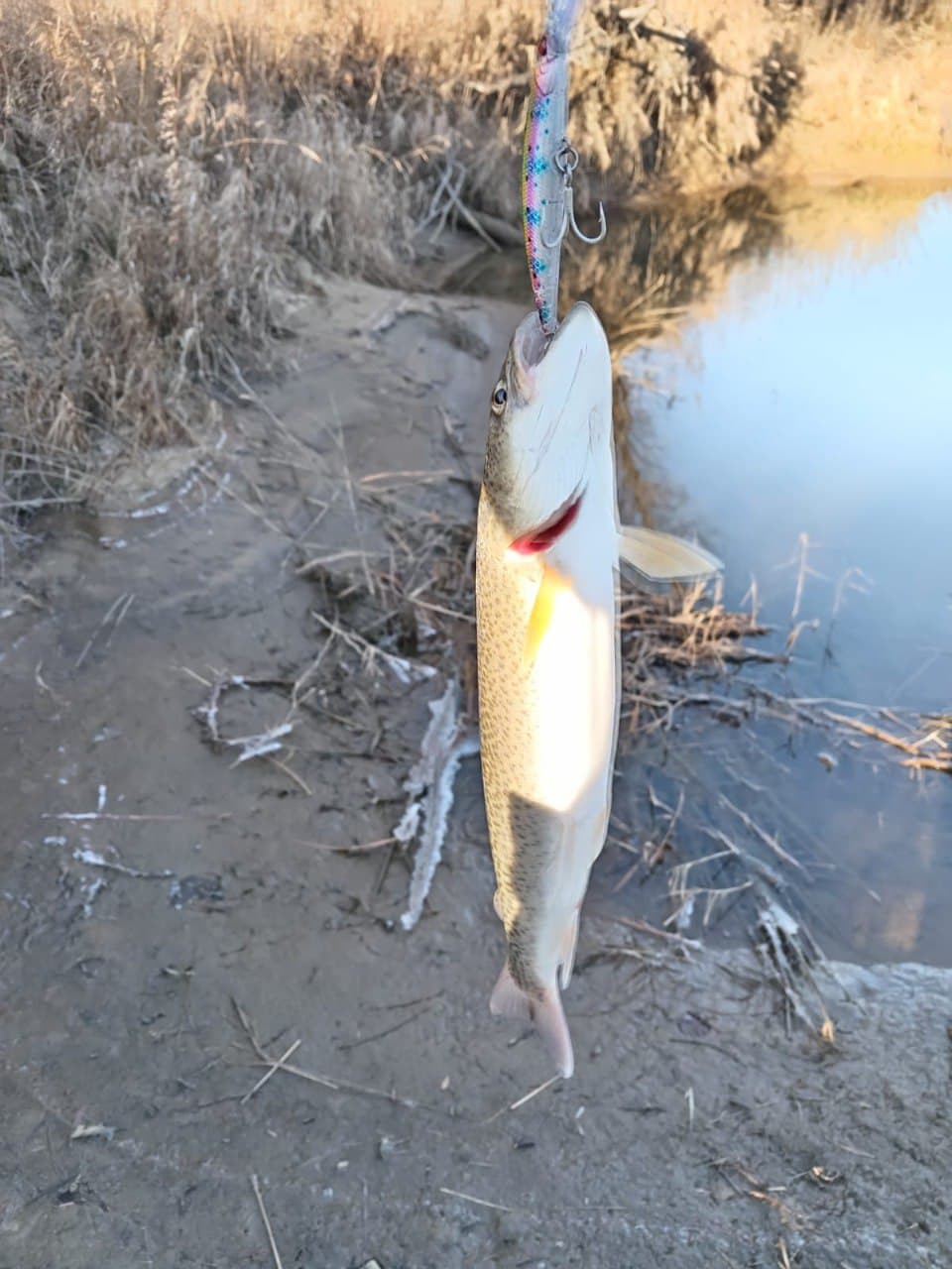 Воблер 80 мм 14 гр  № 99