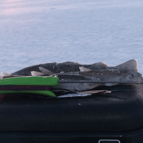 Комбайн на Зубаря/Навагу