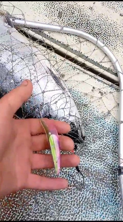 Блесна троллинговая Assist № 123