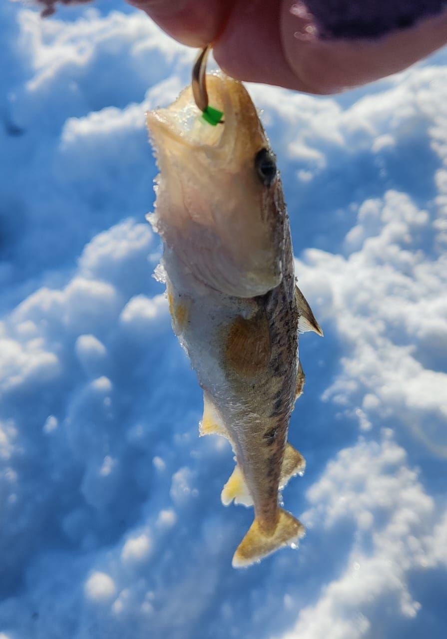 Блесна Охотник