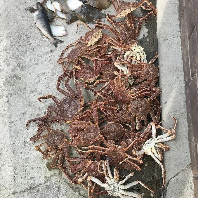 Краболовка