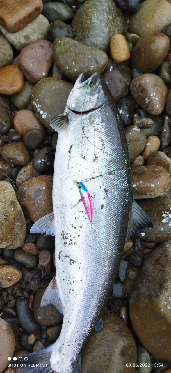 Воблер 55 мм № 35