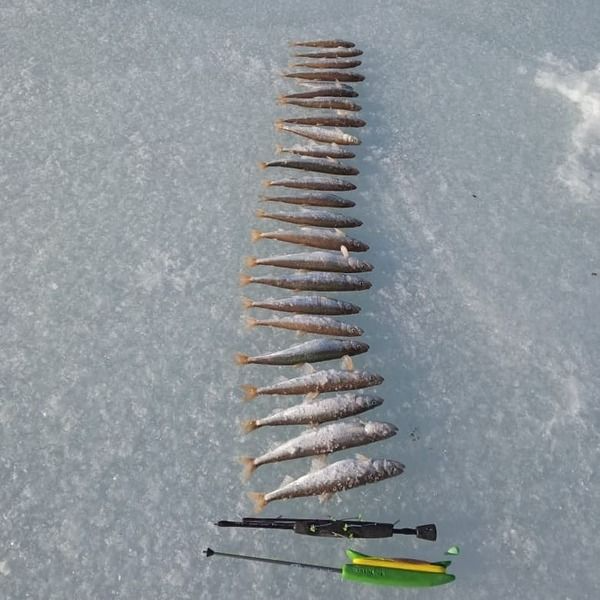 Комбайн на Зубаря/Навагу