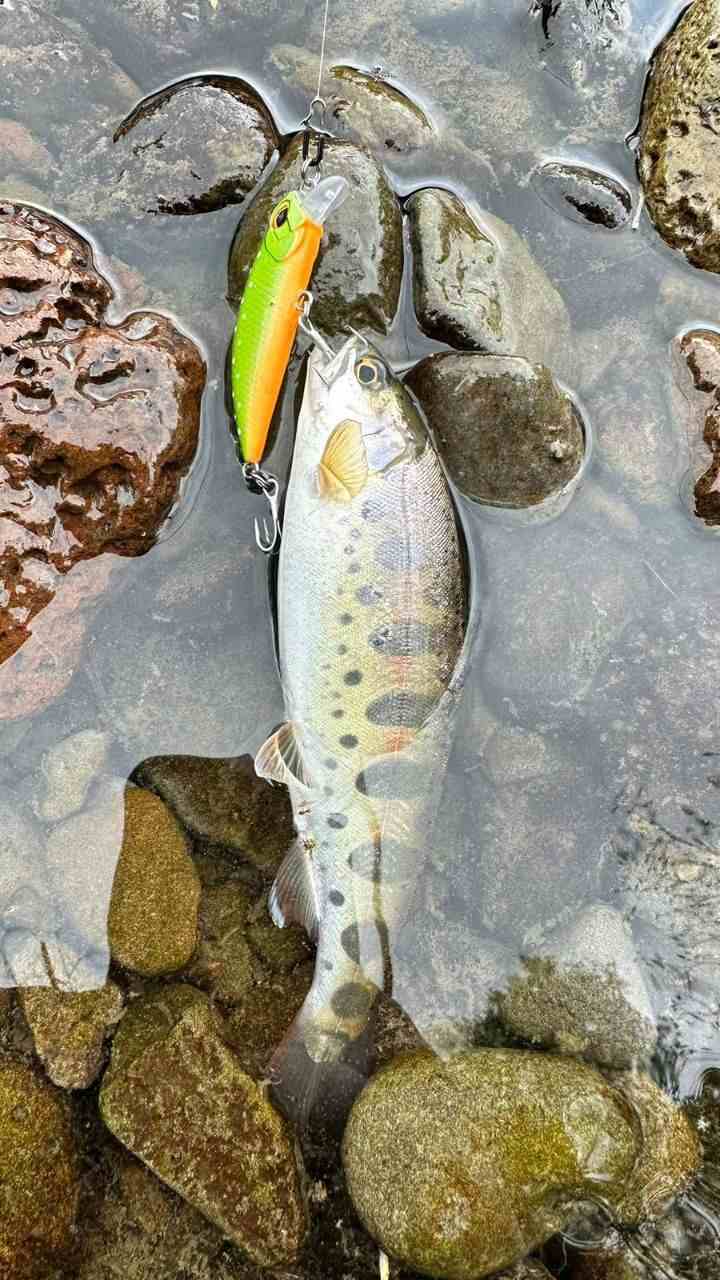 Воблер 45 мм № 40