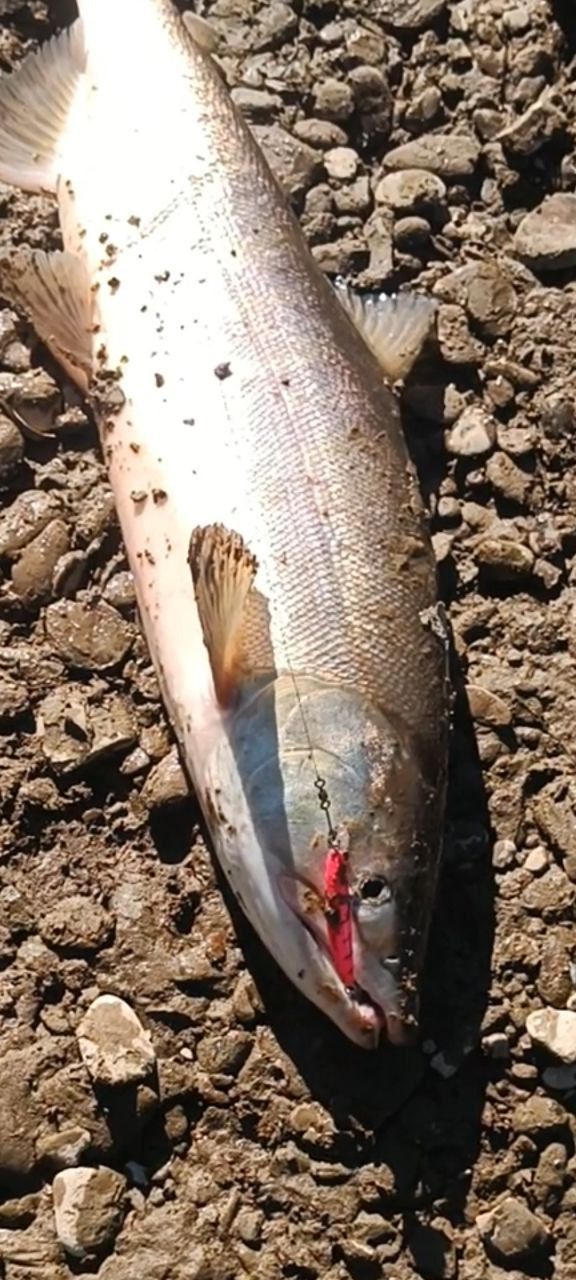 Воблер 80 мм 14 гр  № 18