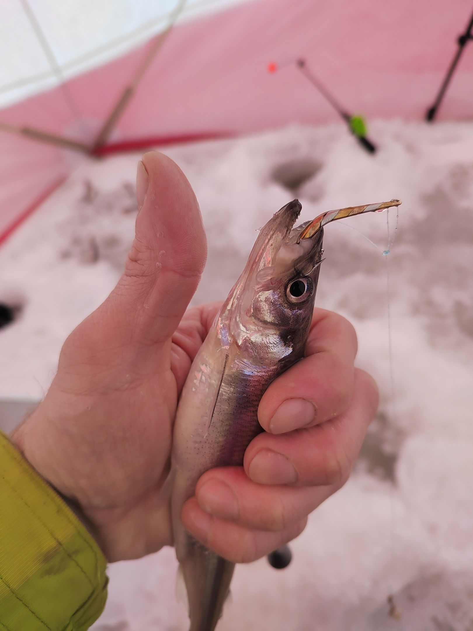 Блесна Эридан утяжеленный мормышка