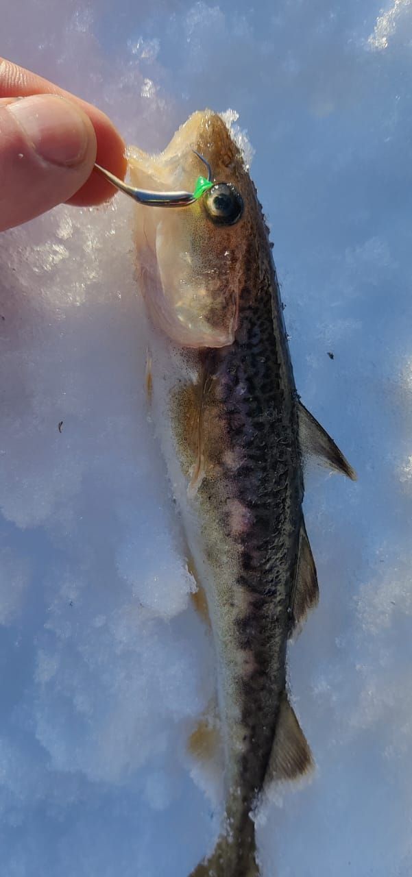 Блесна Охотник