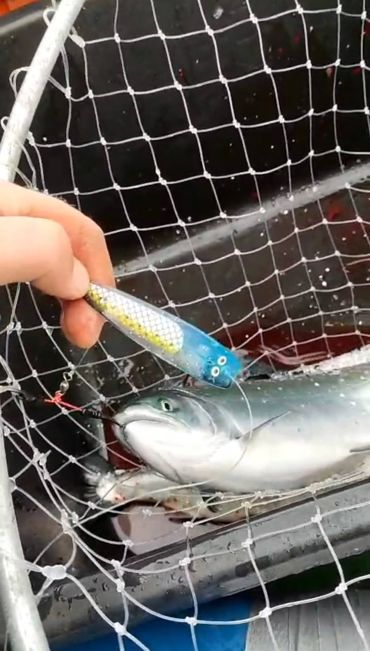 Блесна троллинговая Assist № 127