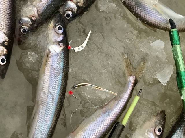 Блесна Питерская - мормышка UV