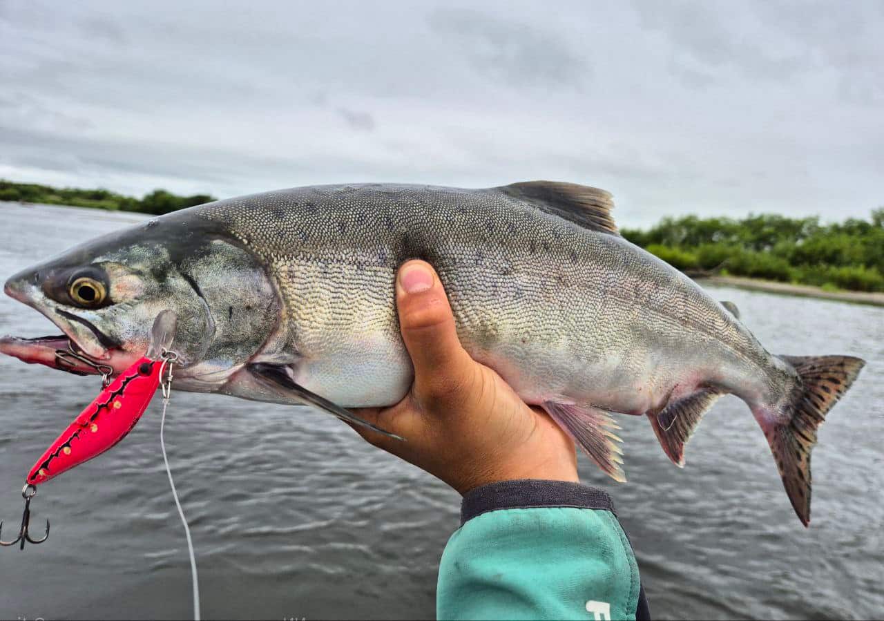 Воблер 80 мм 13 гр № 18