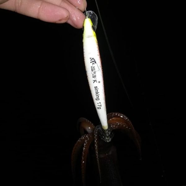 Кальмарный воблер FISHKA