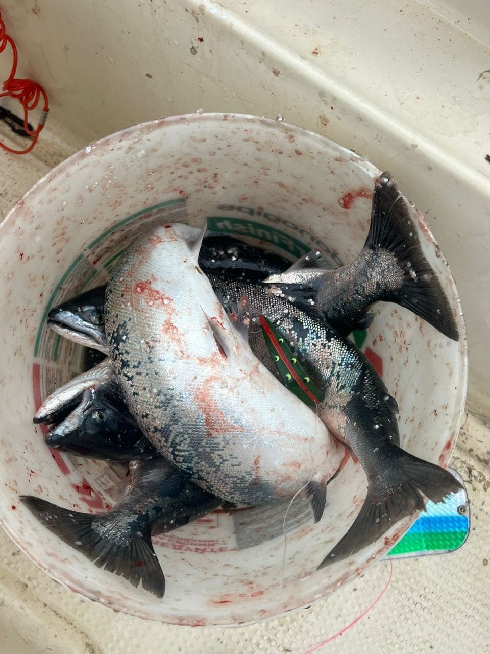 Блесна троллинговая Assist № 120