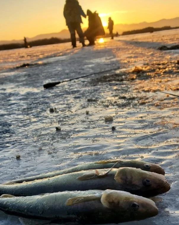 Блесна Питерская - мормышка UV