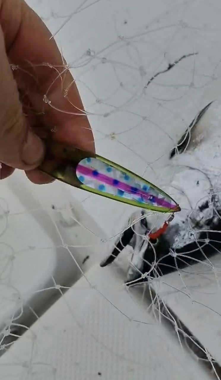 Блесна троллинговая Assist № 5