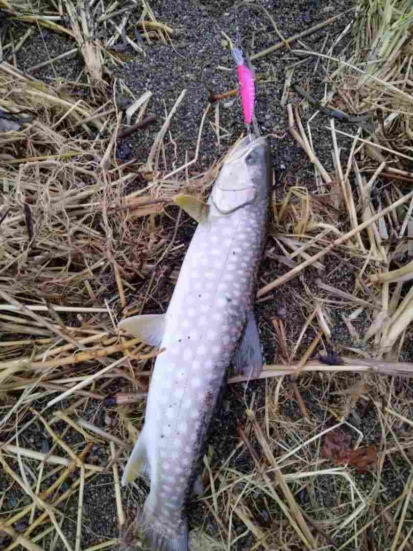 Воблер 55 мм № 20