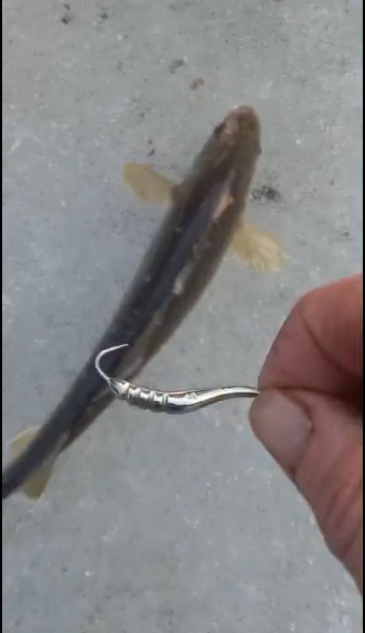 Блесна Дракон 