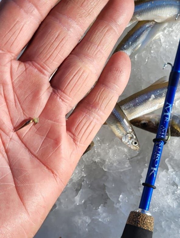 Блесна Астра 1,5 см