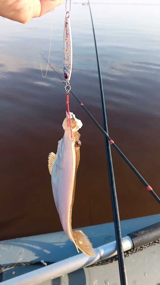 Пилькер 30 гр №1