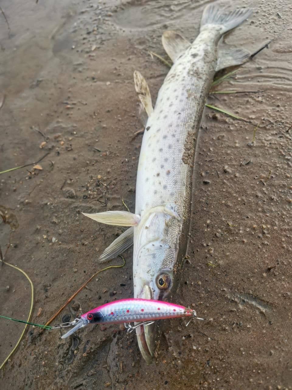 Воблер 90 мм, 25 гр № 25