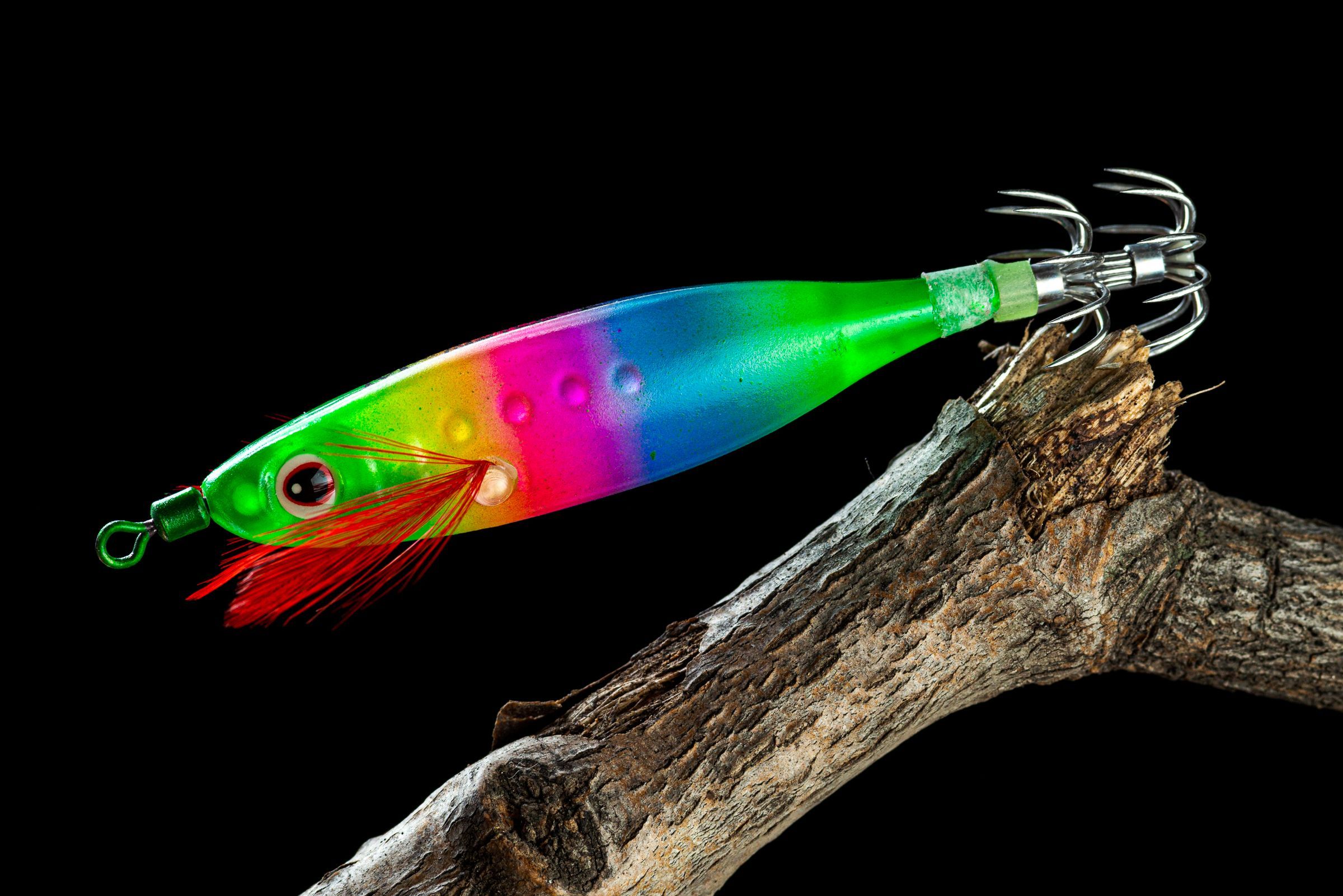 Кальмарница Candy Fish