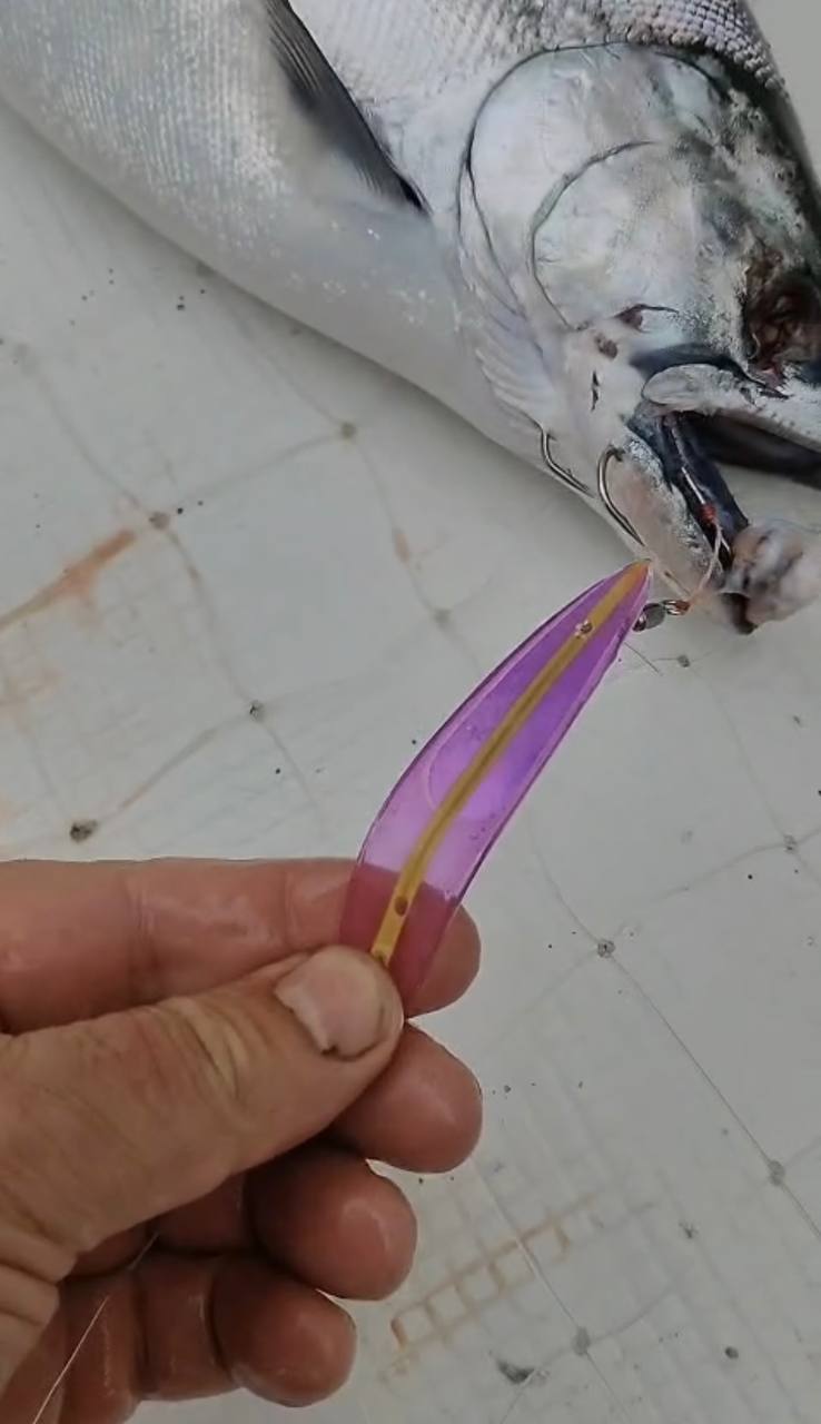 Блесна троллинговая Assist № 1