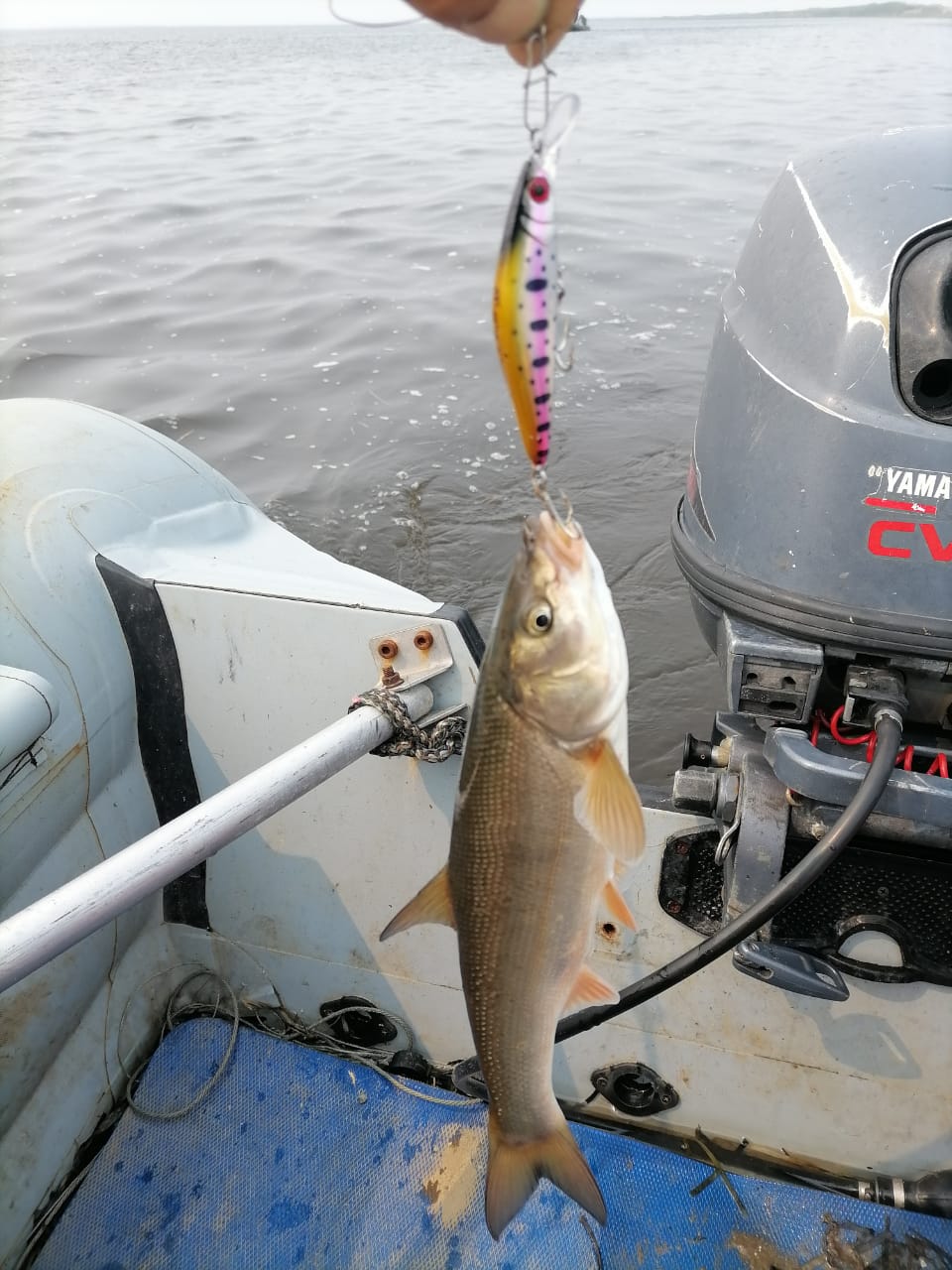 Воблер 80 мм 13 гр № 38