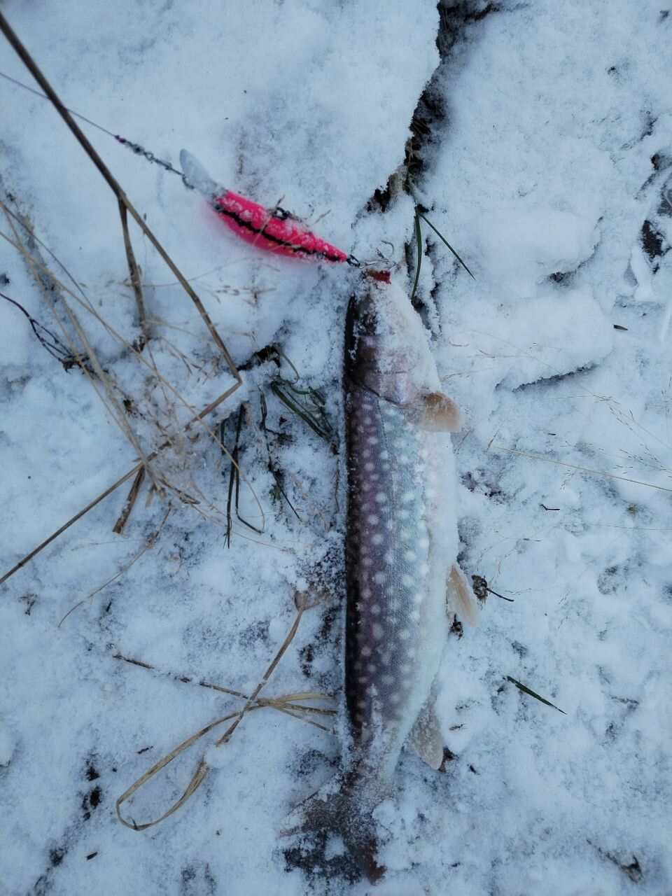 Воблер 70 мм (14гр) № 18