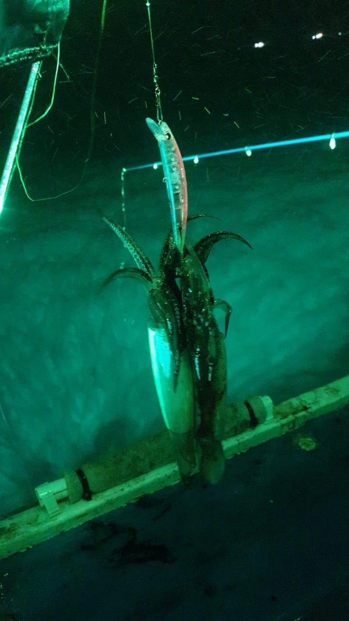 Кальмарный воблер MEDUSA 110мм 17гр