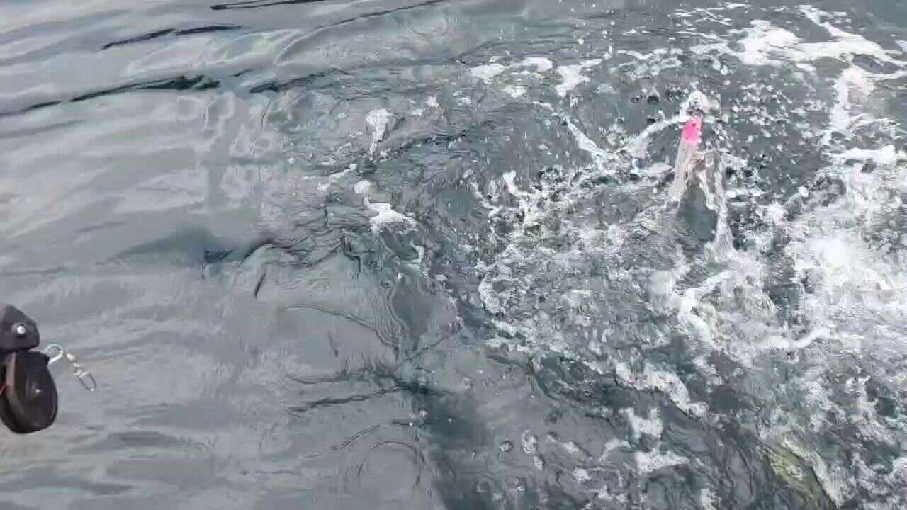 Стикбейт № 1