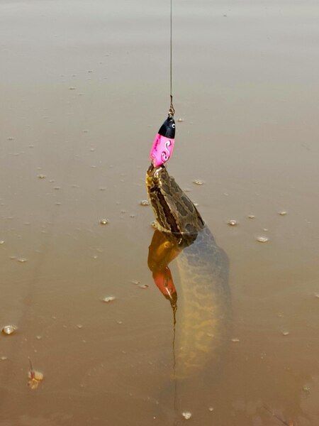 Лягушка 80 мм, 25 гр № 1