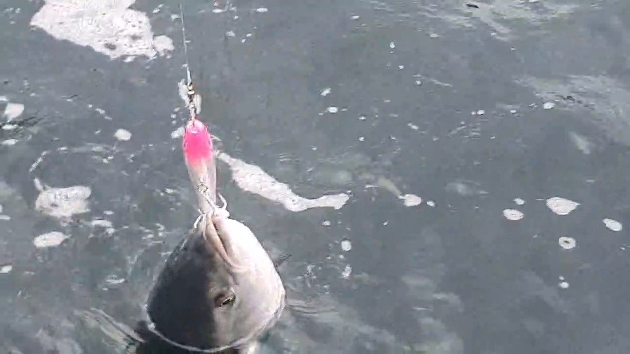 Стикбейт № 1