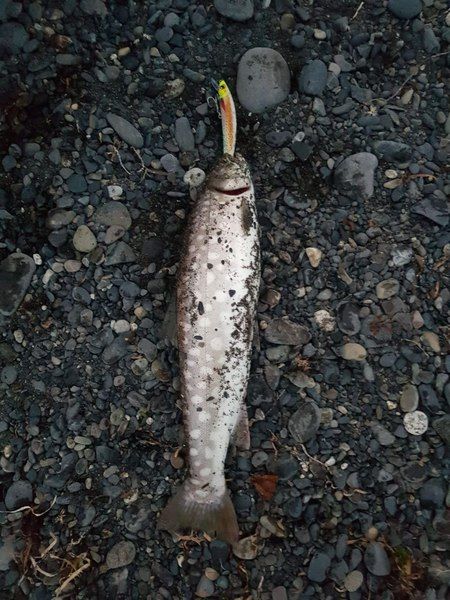 Воблер Fishka 110 мм 17 гр.