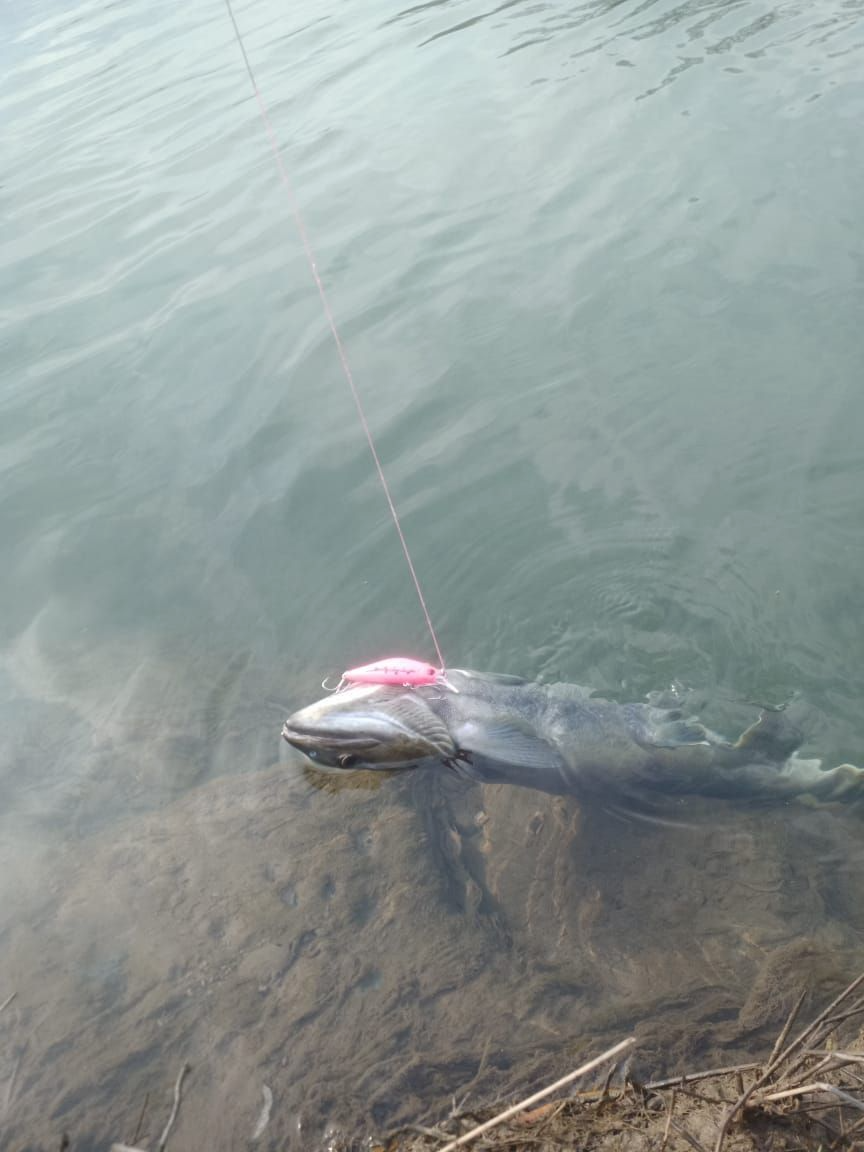  Воблер 80 мм 13 гр № 18 (тройник #6)