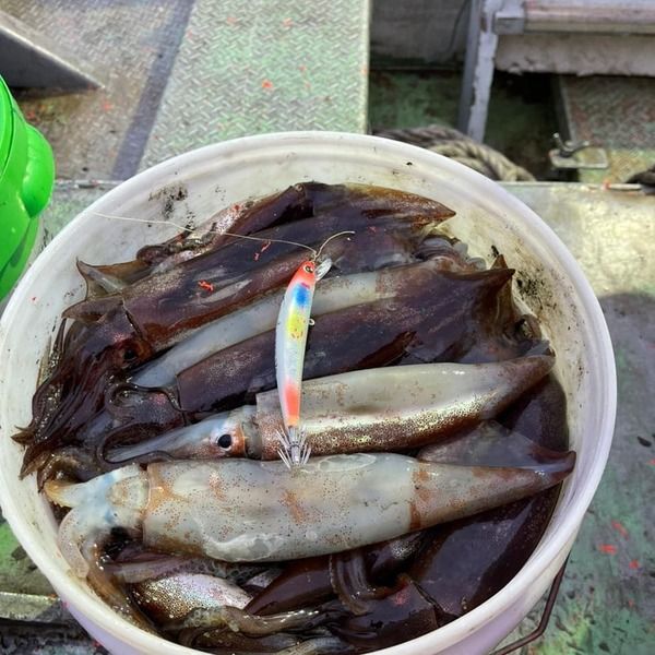 КАЛЬМАРНЫЙ ВОБЛЕР PARROT