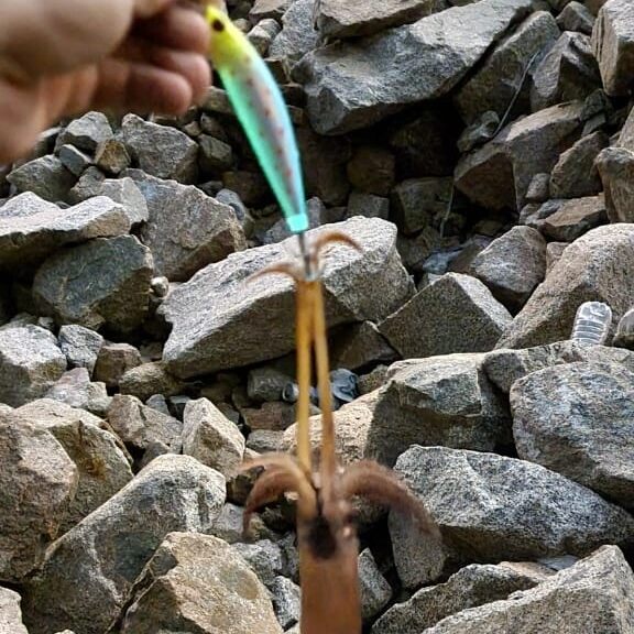 Кальмарный воблер JOKER (100мм 27гр)