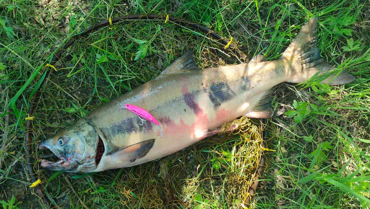 Воблер 80 мм 14 гр  № 18