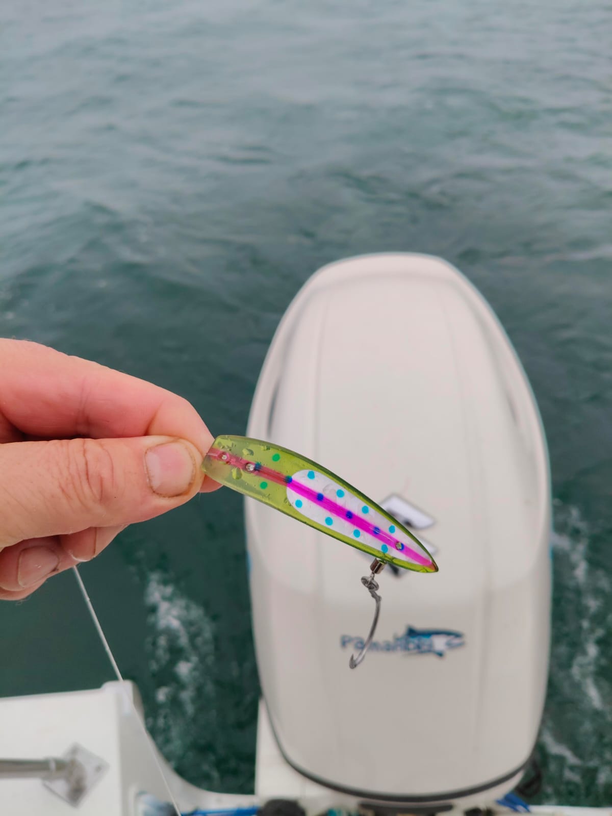 Блесна троллинговая Assist № 5