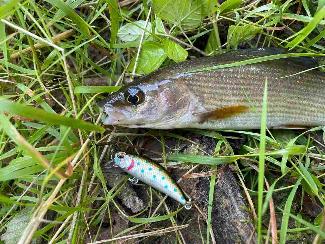 Воблер 45 мм № 61