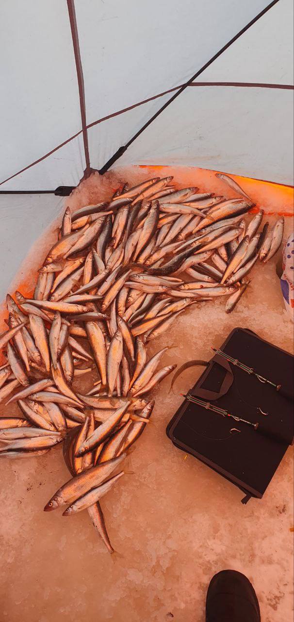 Блесна Гусеница большая 2,7 см