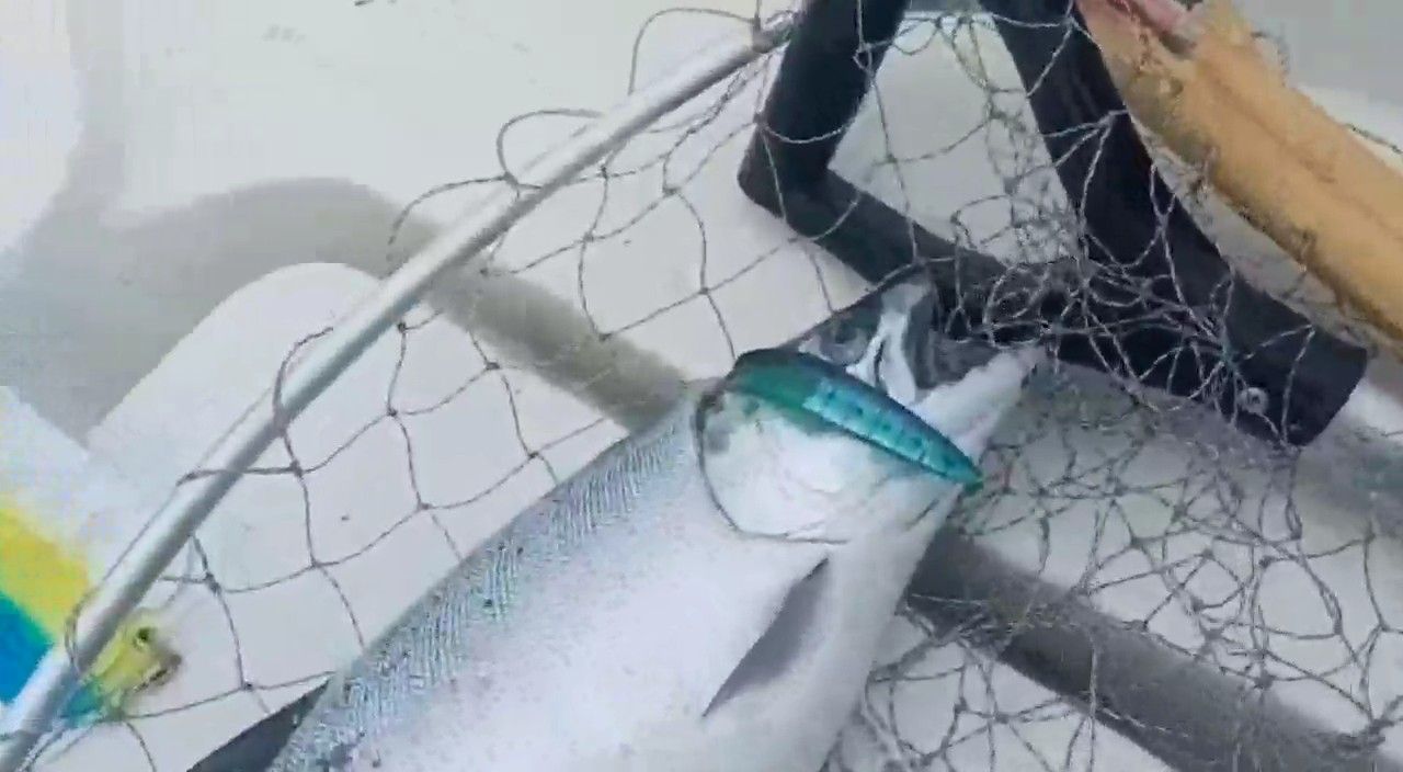 Блесна троллинговая неоснащенная № 13