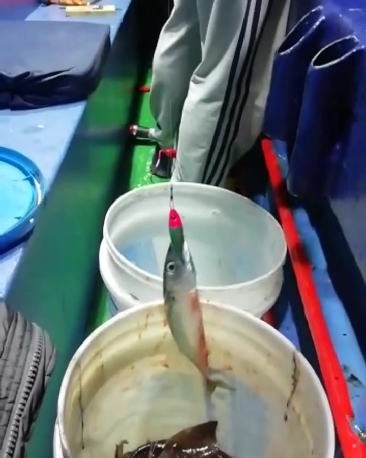 Кальмарница грузовая Green fish 94 гр