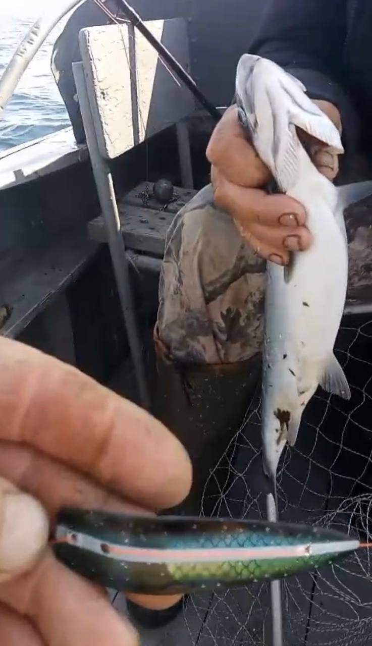 Блесна троллинговая Assist № 128