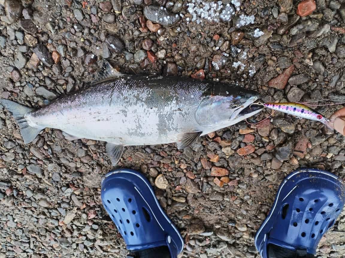 Воблер 80 мм 13 гр № 38