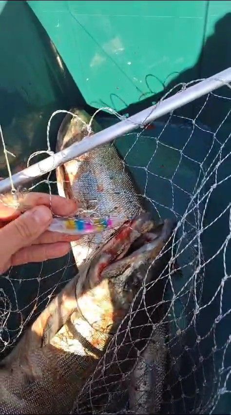 Воблер 95 мм (17гр) № 85