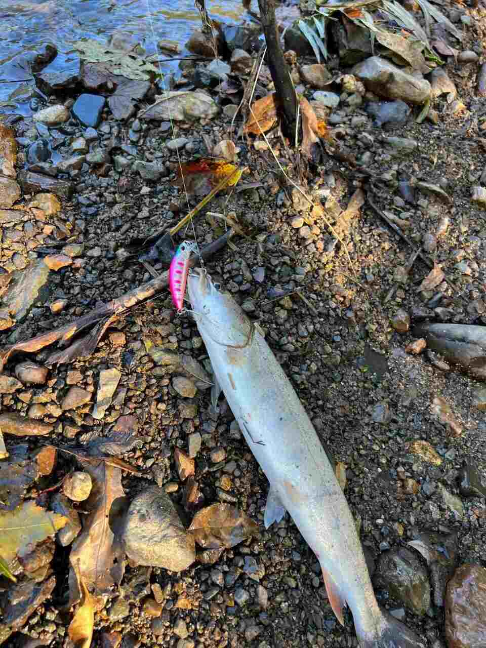 Воблер 45 мм № 35