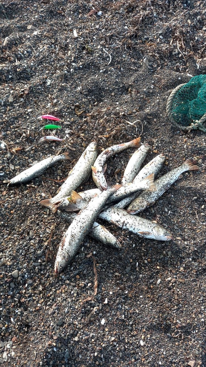  Воблер 80 мм 13 гр № 18 (тройник #6)