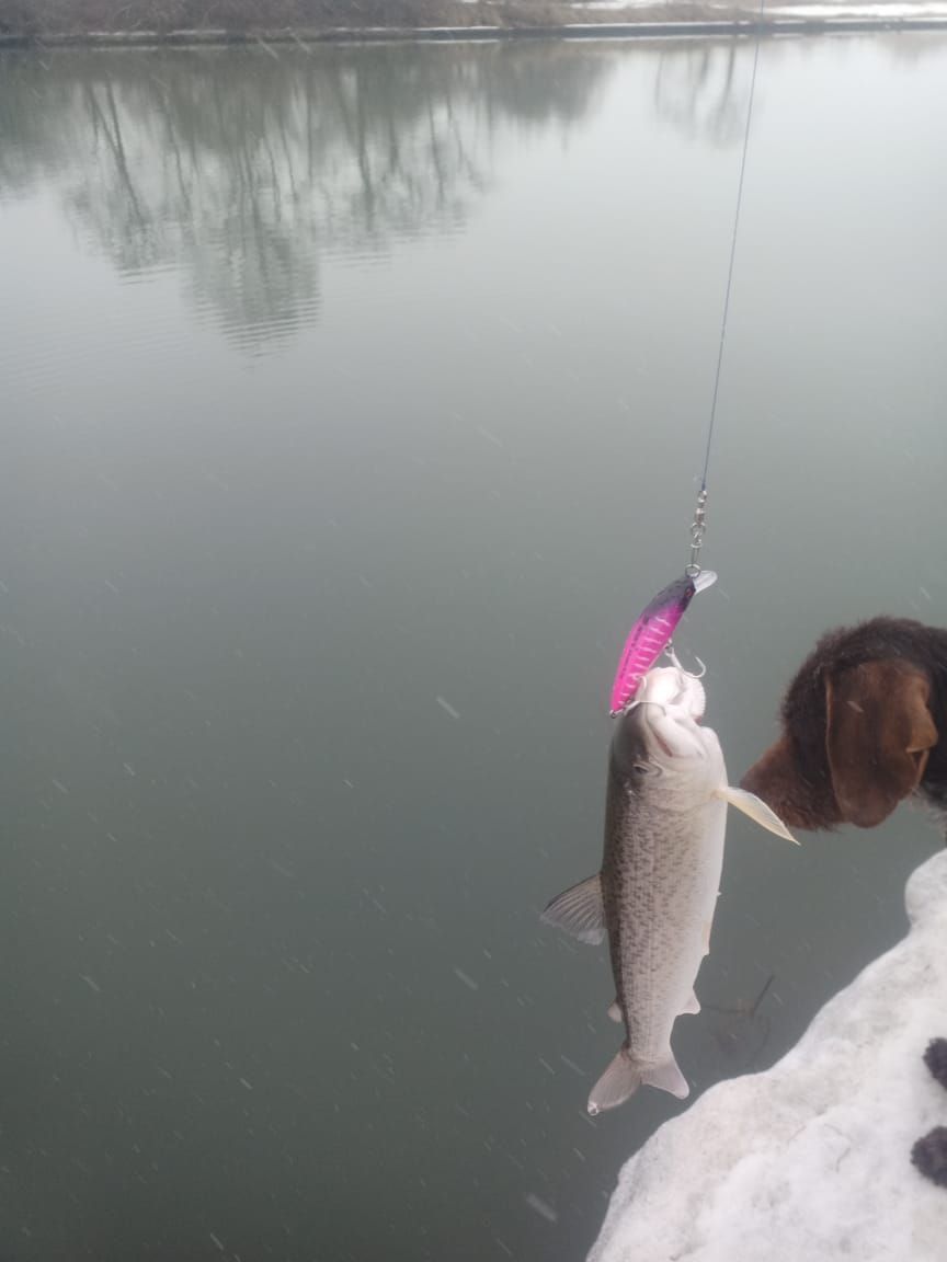 Воблер 55 мм № 20