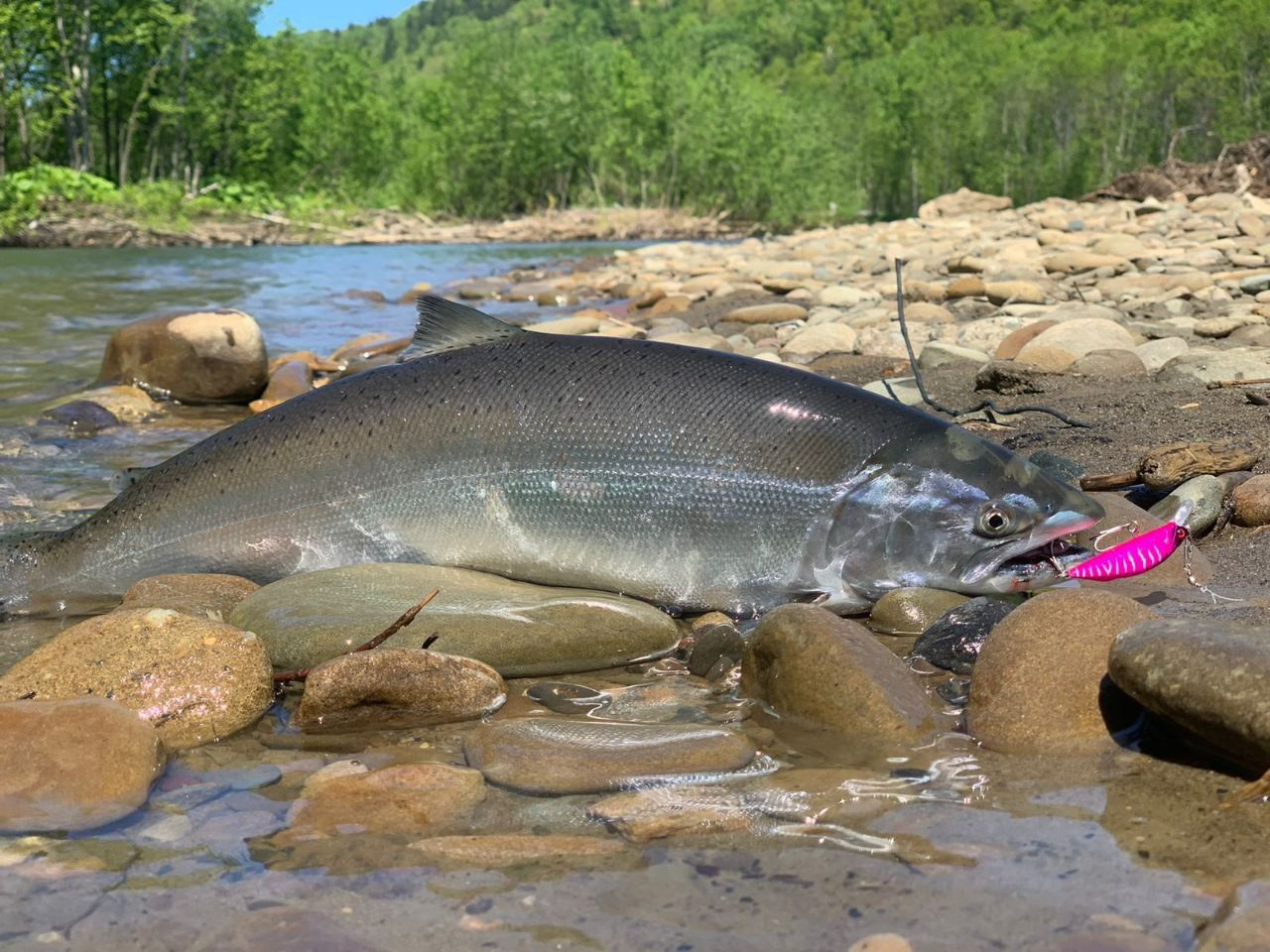 Воблер 80 мм 13 гр № 20 (тройник #6)