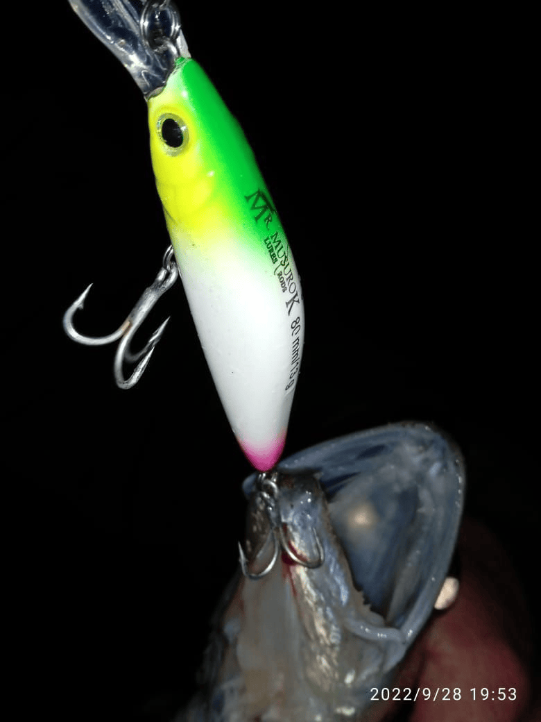 Воблер 80 мм 13 гр № 8 (тройник #6)