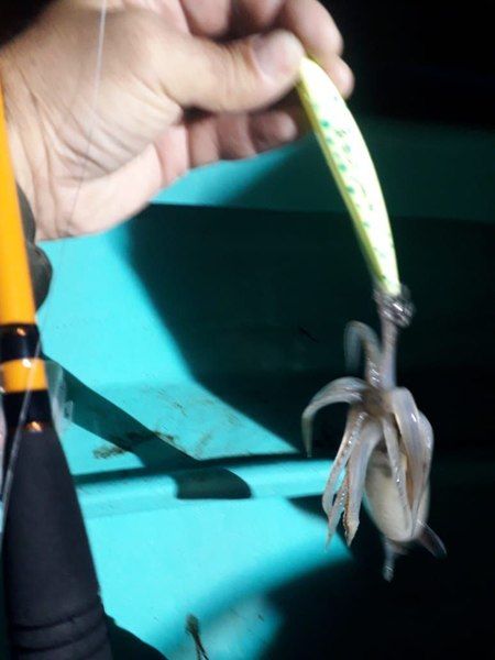 Набор из 14 кальмарных воблеров 17 гр.